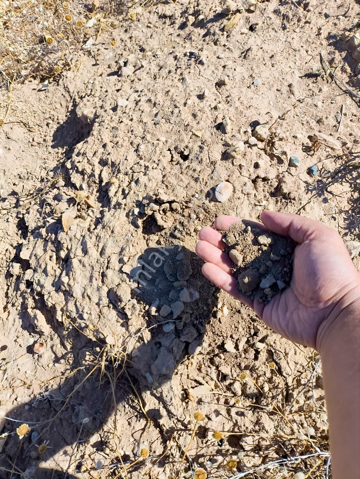 Köy Merkezine Ve Bor Merkezine Çok Yakın Önünde Yolu Da Var - Görsel 8