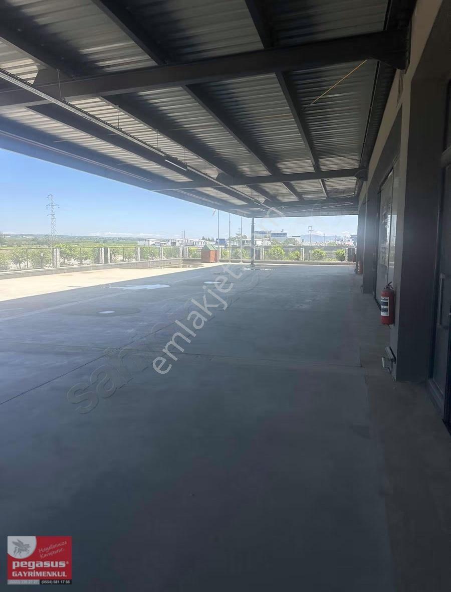 Pegasus'tan Yüreğirde Anayol Üzerinde Kiralık İşyeri - Görsel 6
