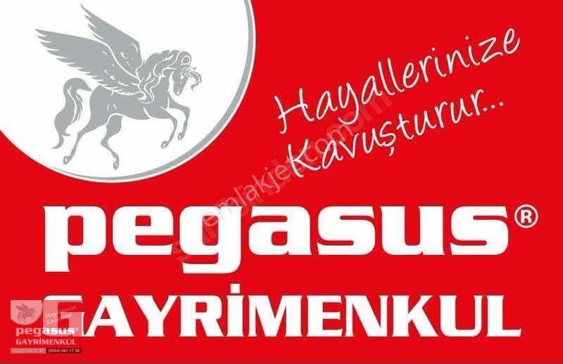 Pegasus'tan Yüreğirde Anayol Üzerinde Kiralık İşyeri - Görsel 10
