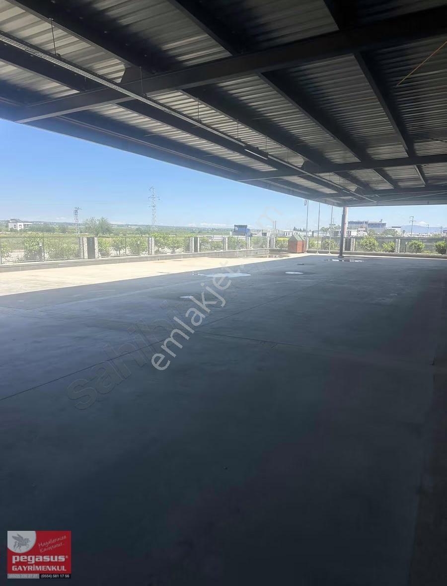 Pegasus'tan Yüreğirde Anayol Üzerinde Kiralık İşyeri - Görsel 5