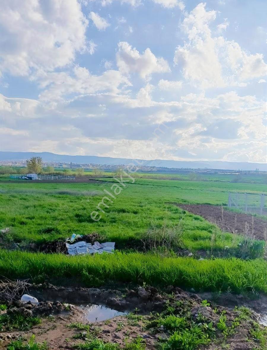 Yamanlar Emlak Tan 550 Metre Arsa - Görsel 6