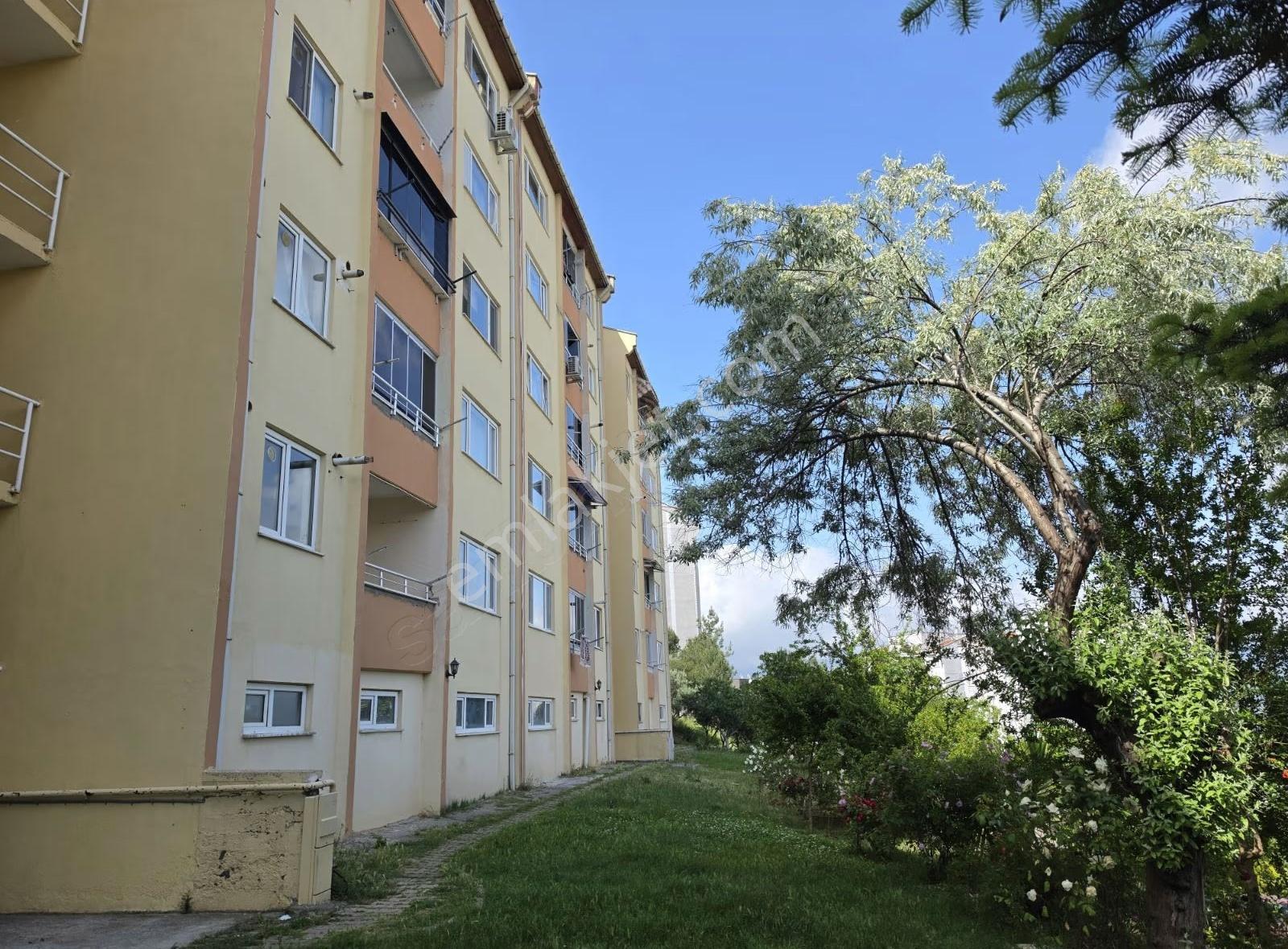 Bursa Emlak Alem-i Toki 1 Etapta Göl Manzaralı 2+1 Kiralık Daire - Görsel 4