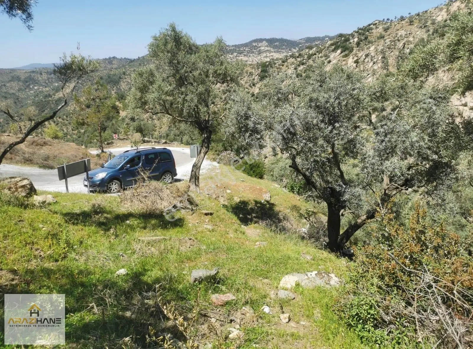 Kırcağız A Çok Yakın Asfalta Sıfır Satılık Zeytinlik