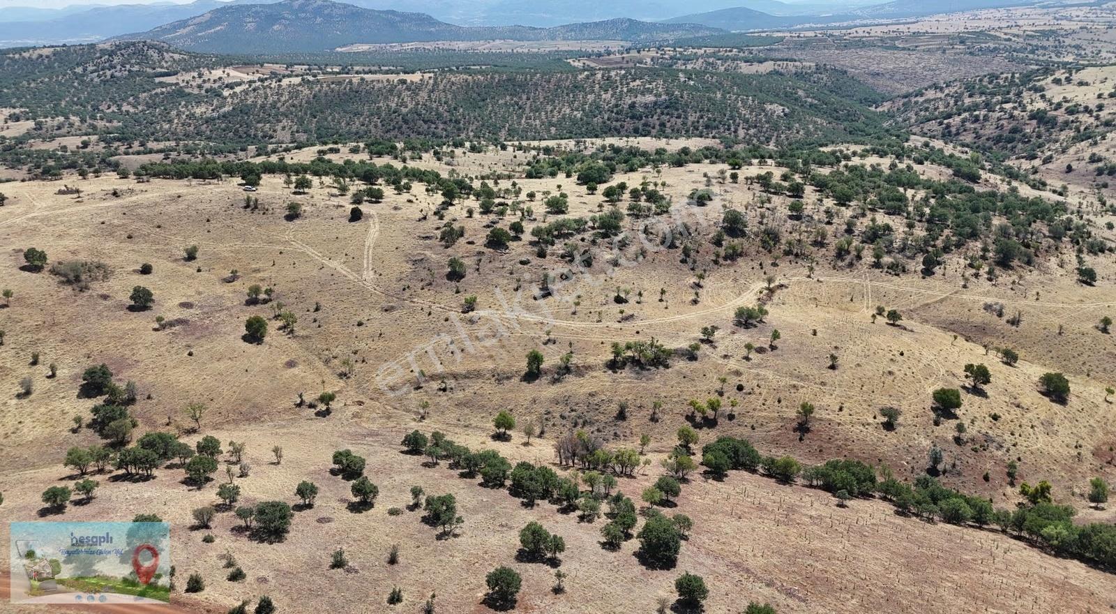 Güneysınır / Gürağaç Mahallesinde 2.309 M² Müstakil Tapulu Bağ - Görsel 24