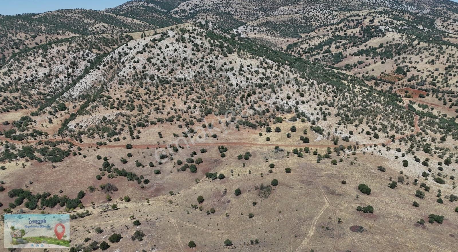 Güneysınır / Gürağaç Mahallesinde 2.309 M² Müstakil Tapulu Bağ - Görsel 12