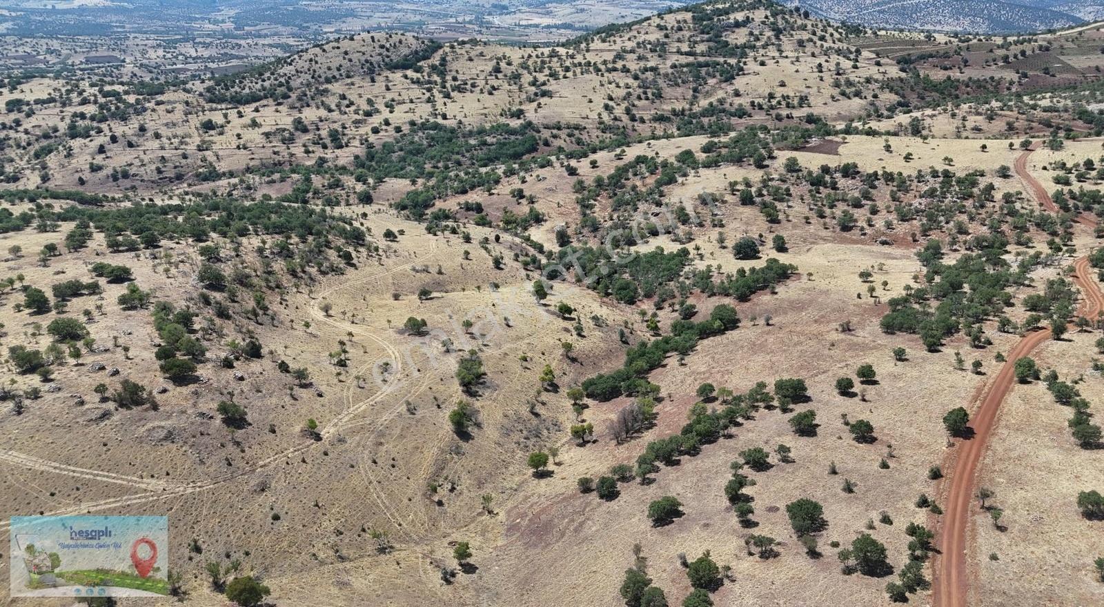 Güneysınır / Gürağaç Mahallesinde 2.309 M² Müstakil Tapulu Bağ - Görsel 28