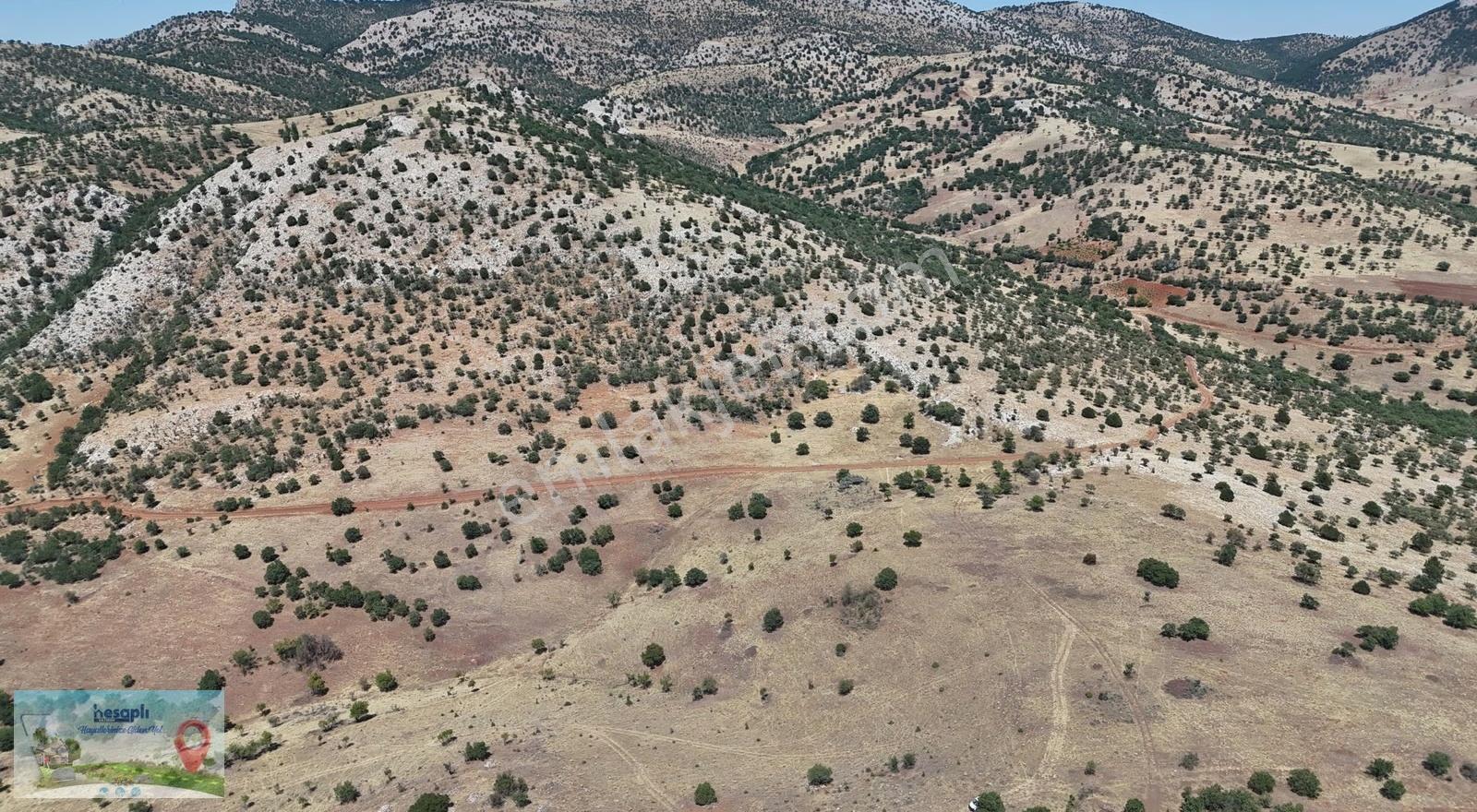 Güneysınır / Gürağaç Mahallesinde 2.309 M² Müstakil Tapulu Bağ - Görsel 13
