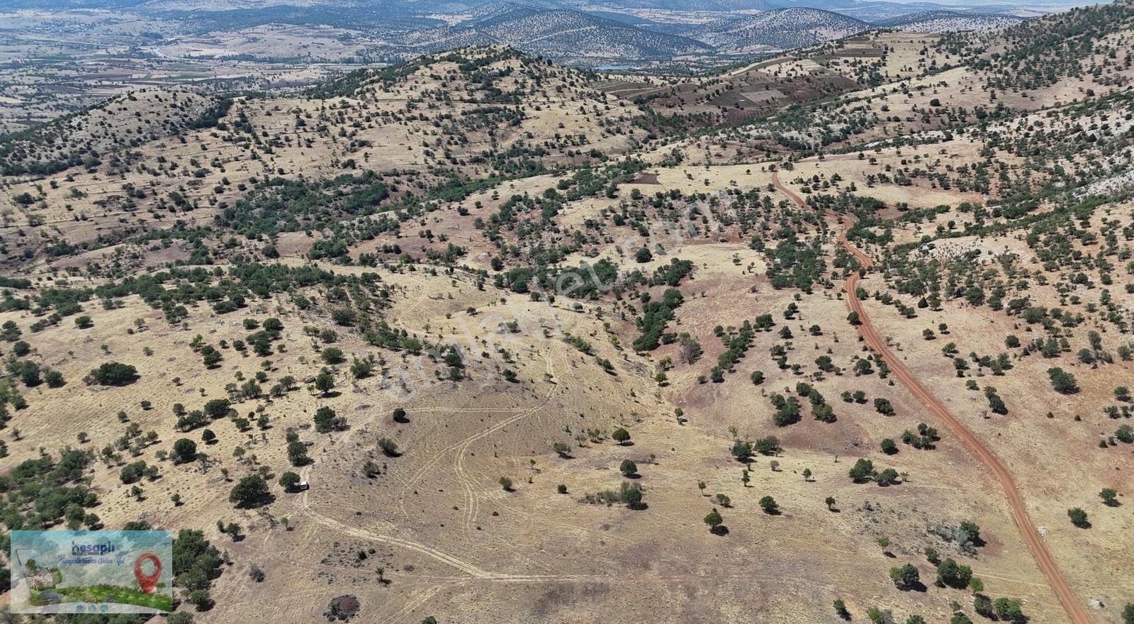Güneysınır / Gürağaç Mahallesinde 2.309 M² Müstakil Tapulu Bağ - Görsel 18