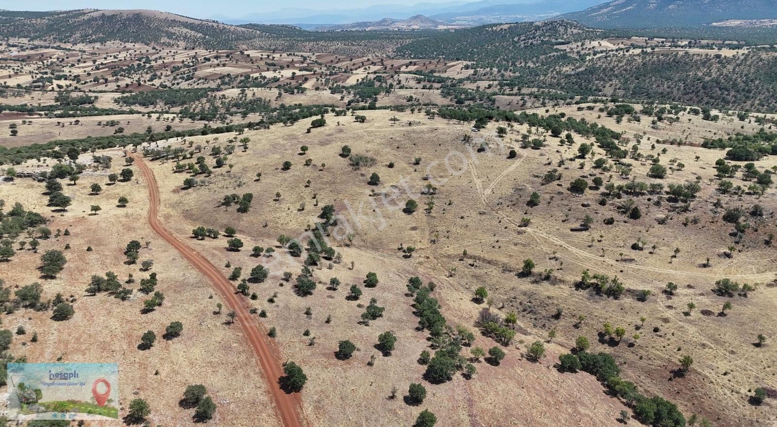 Güneysınır / Gürağaç Mahallesinde 2.309 M² Müstakil Tapulu Bağ - Görsel 23