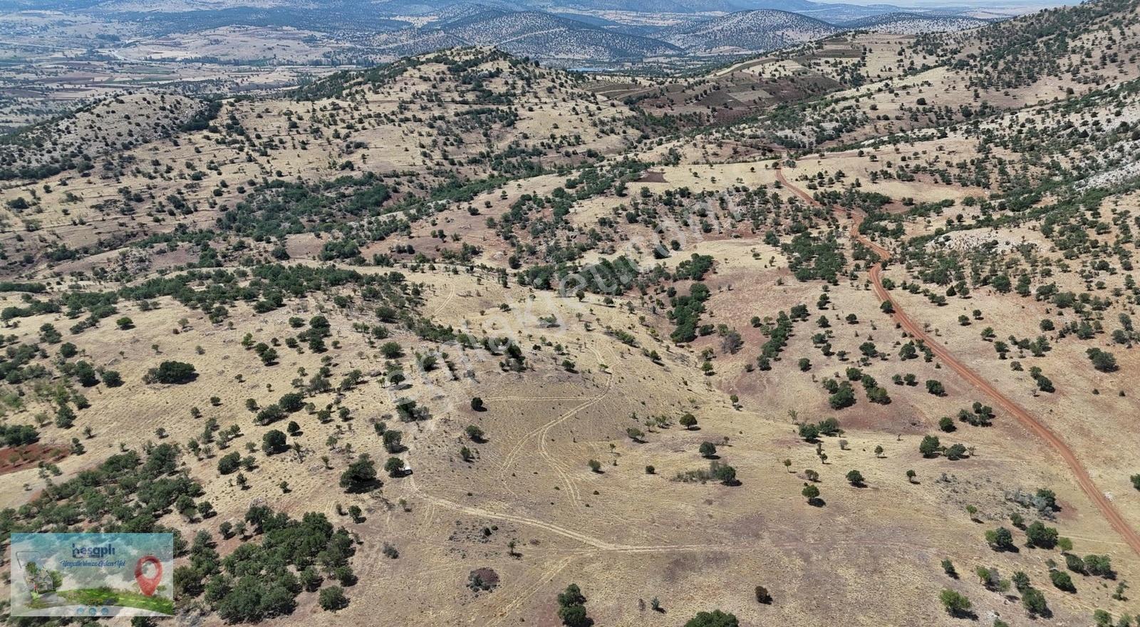 Güneysınır / Gürağaç Mahallesinde 2.309 M² Müstakil Tapulu Bağ - Görsel 10