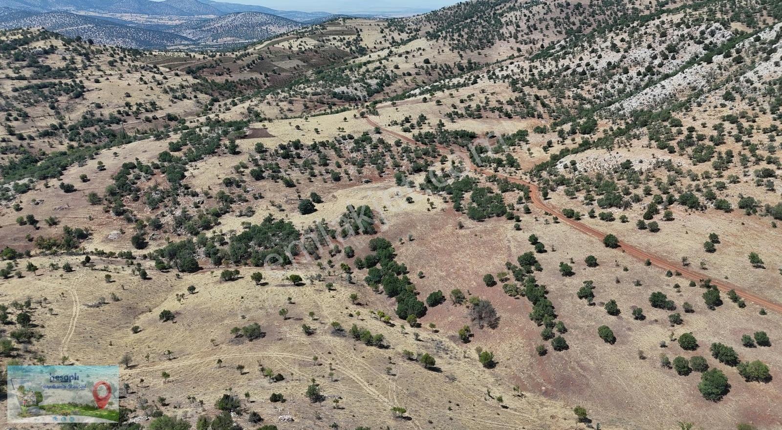 Güneysınır / Gürağaç Mahallesinde 2.309 M² Müstakil Tapulu Bağ - Görsel 5