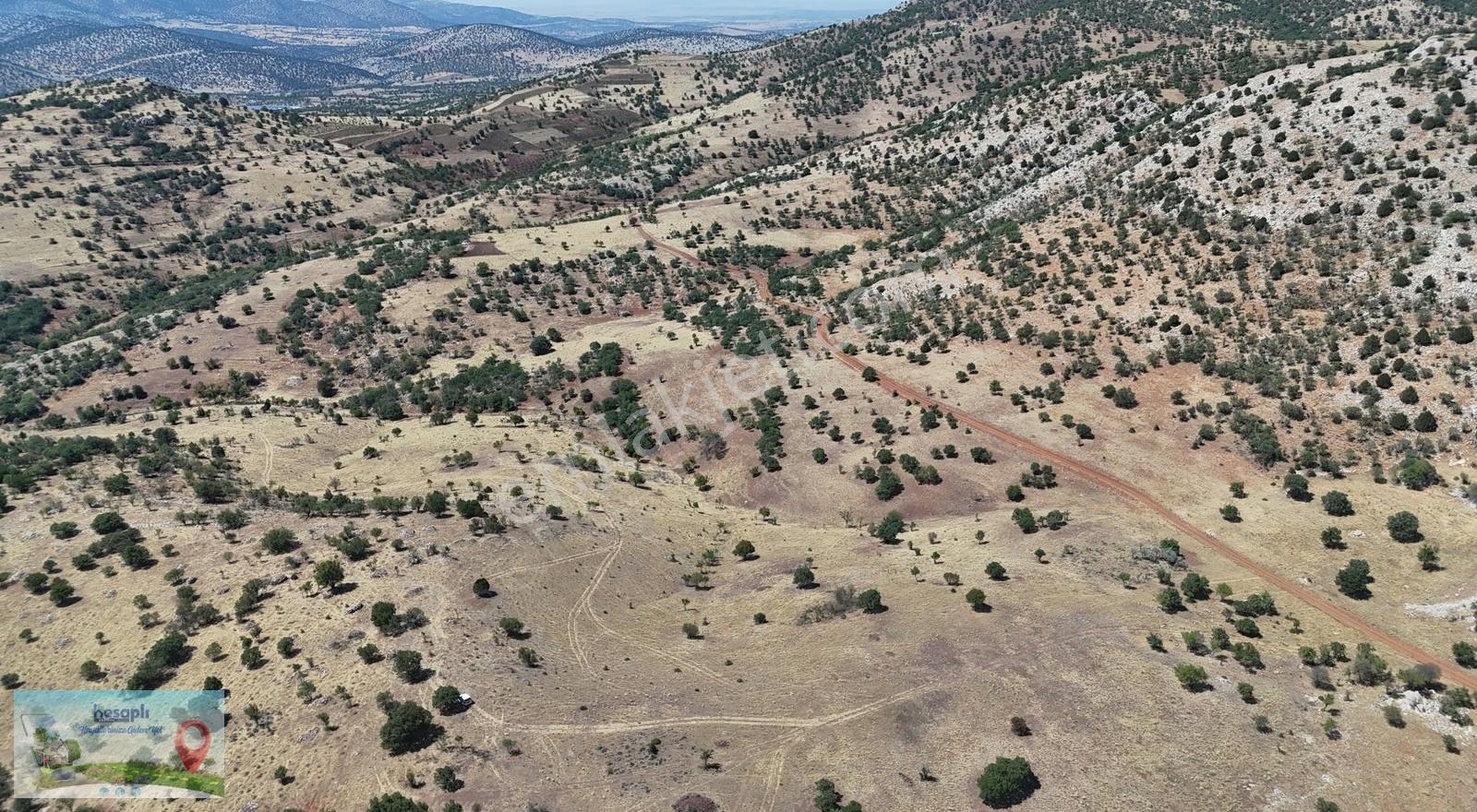 Güneysınır / Gürağaç Mahallesinde 2.309 M² Müstakil Tapulu Bağ - Görsel 2