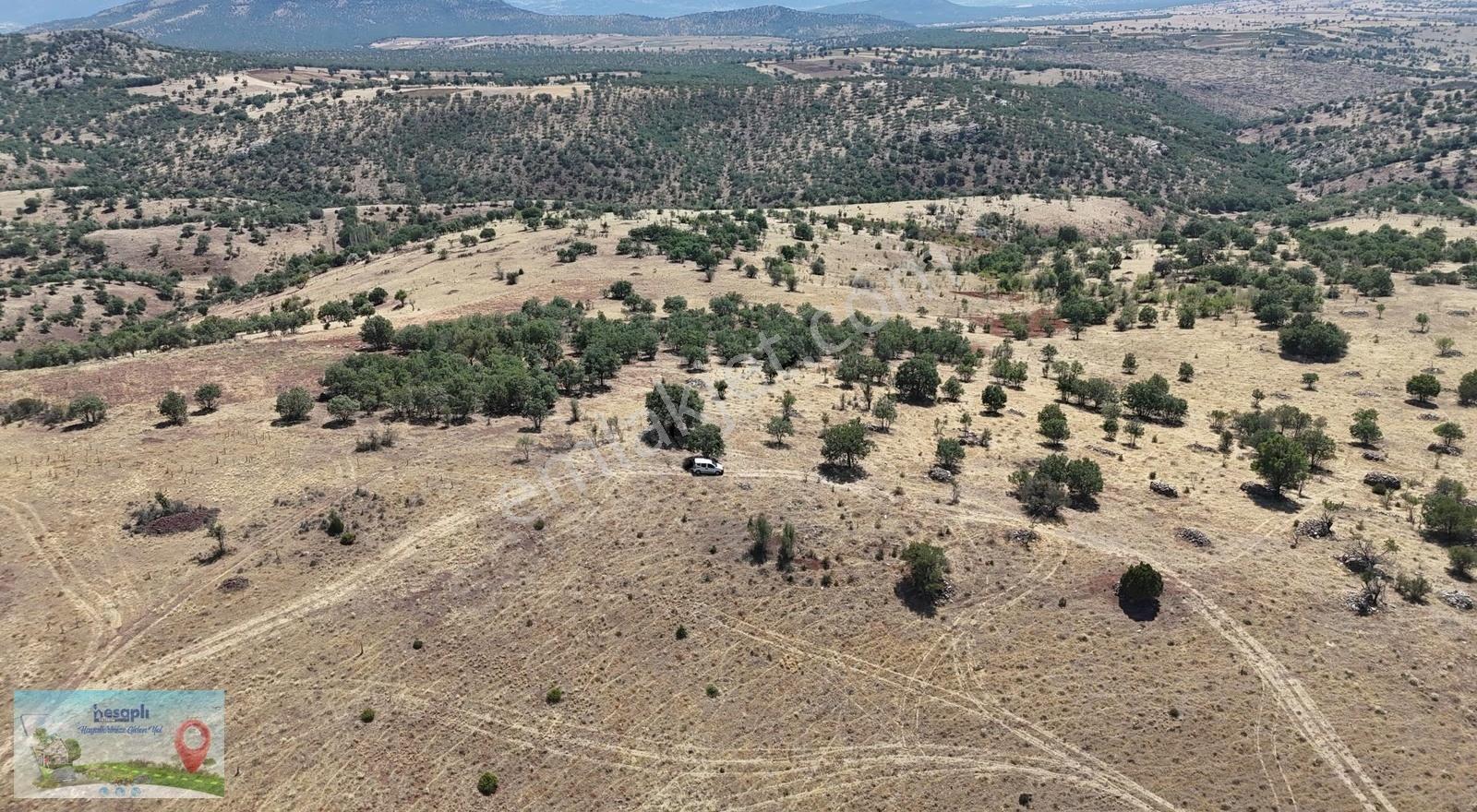 Güneysınır / Gürağaç Mahallesinde 2.309 M² Müstakil Tapulu Bağ - Görsel 26