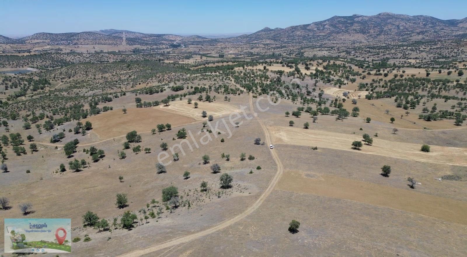 Güneysınır / Mehmetali Mahallesinde 993 M² Müstakil Tapulu Tarla - Görsel 5