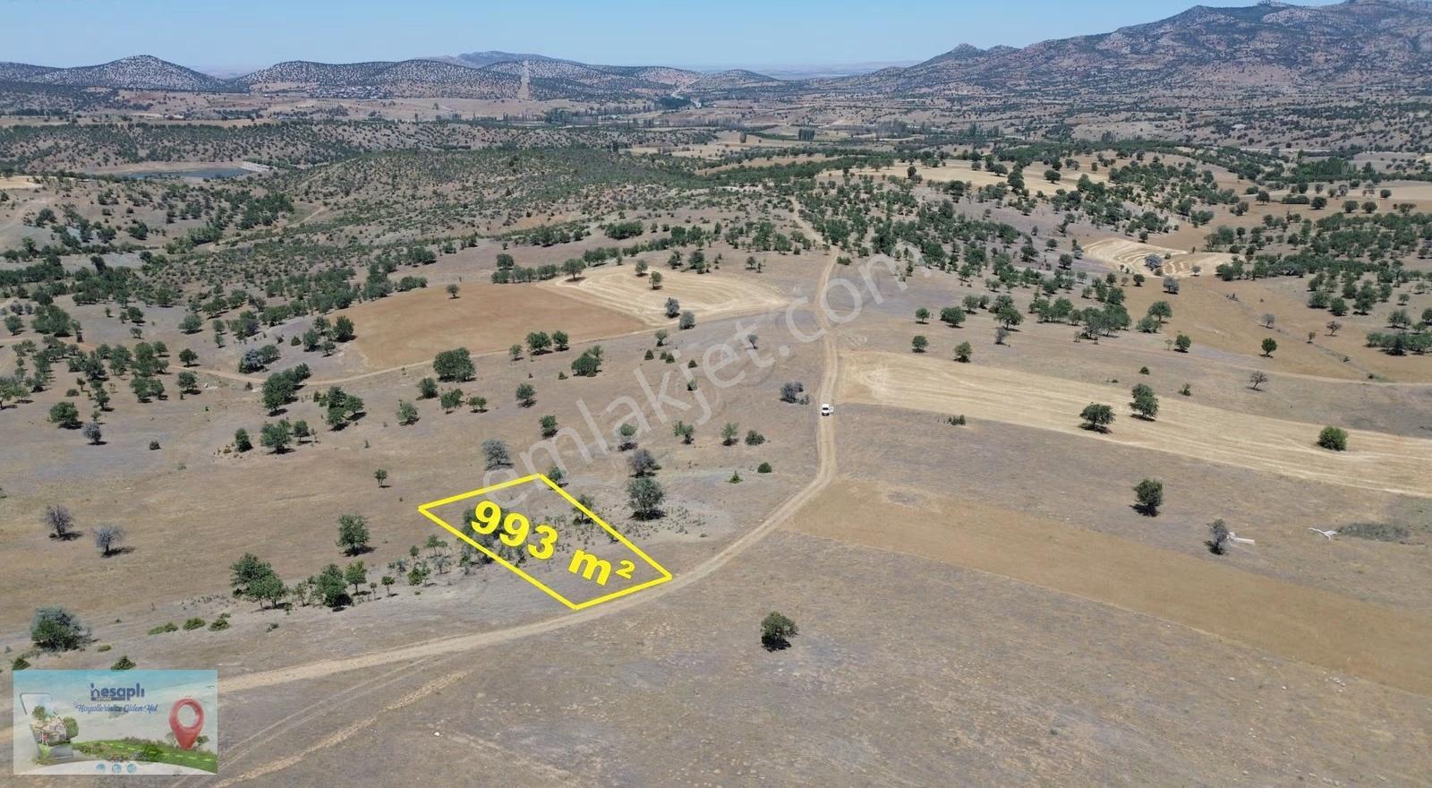 Güneysınır / Mehmetali Mahallesinde 993 M² Müstakil Tapulu Tarla - Görsel 3