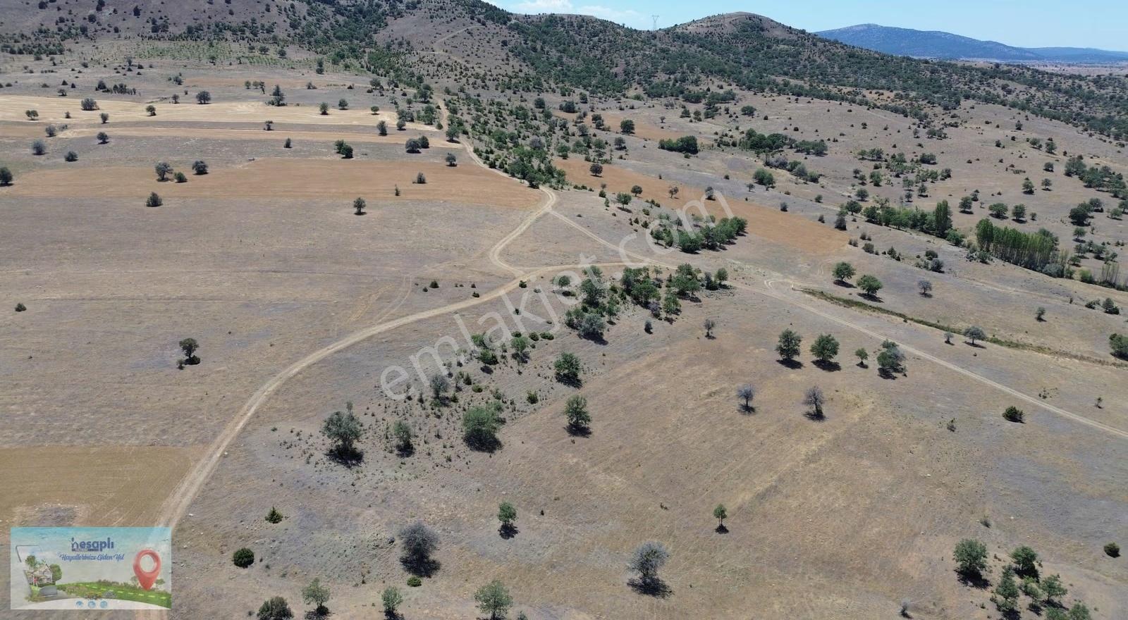 Güneysınır / Mehmetali Mahallesinde 993 M² Müstakil Tapulu Tarla - Görsel 7