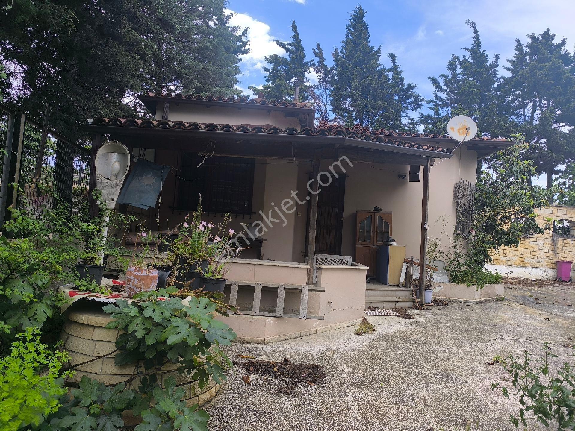 İş Karşılığı Kiralik
