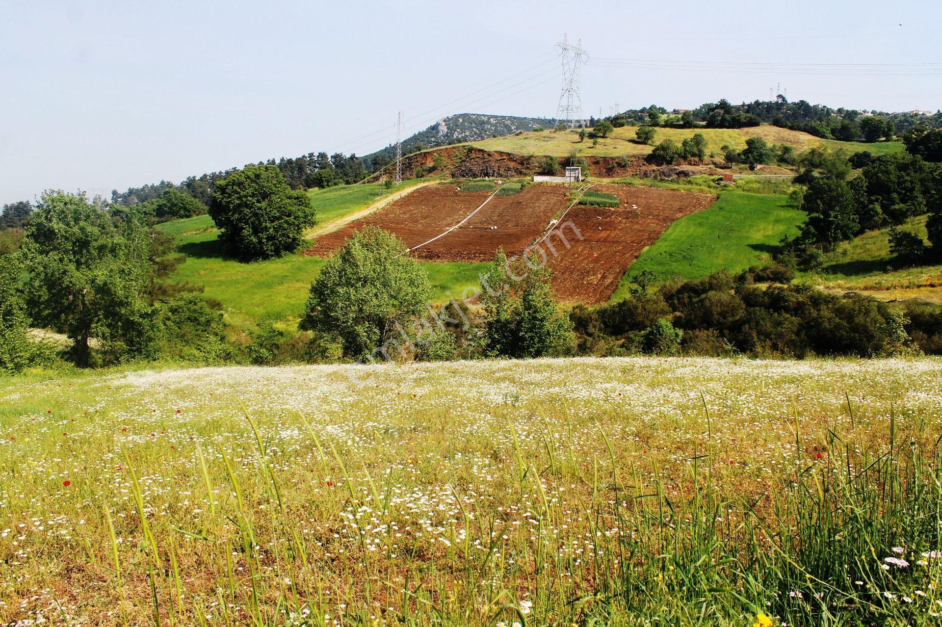 Çalköy Yenice'de 7577m2 Eşsiz Doğa Ve Göl Manzaralı Satılık Arsa - Görsel 12