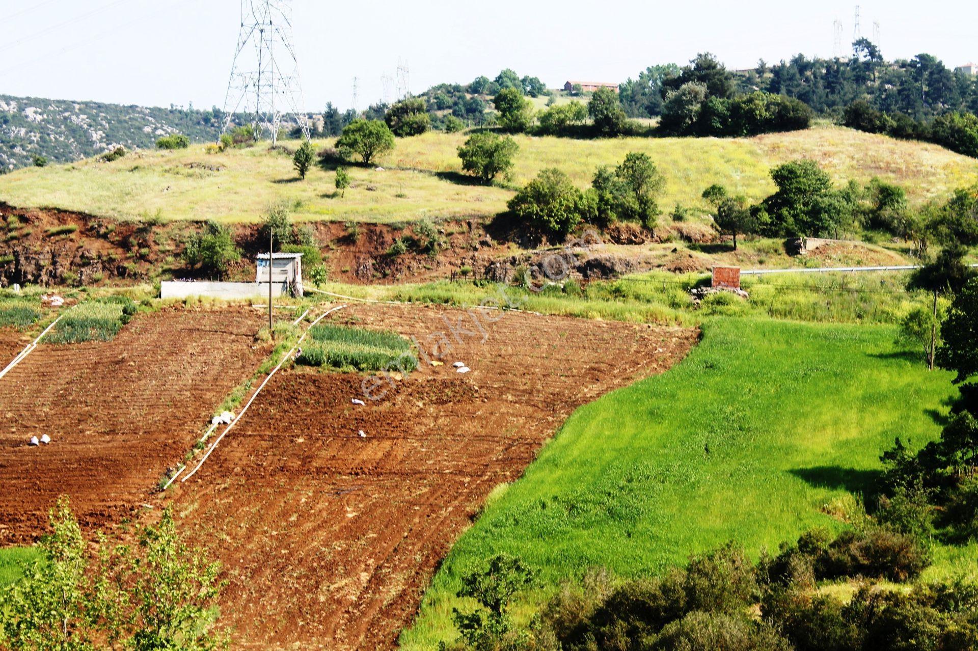 Çalköy Yenice'de 7577m2 Eşsiz Doğa Ve Göl Manzaralı Satılık Arsa - Görsel 18
