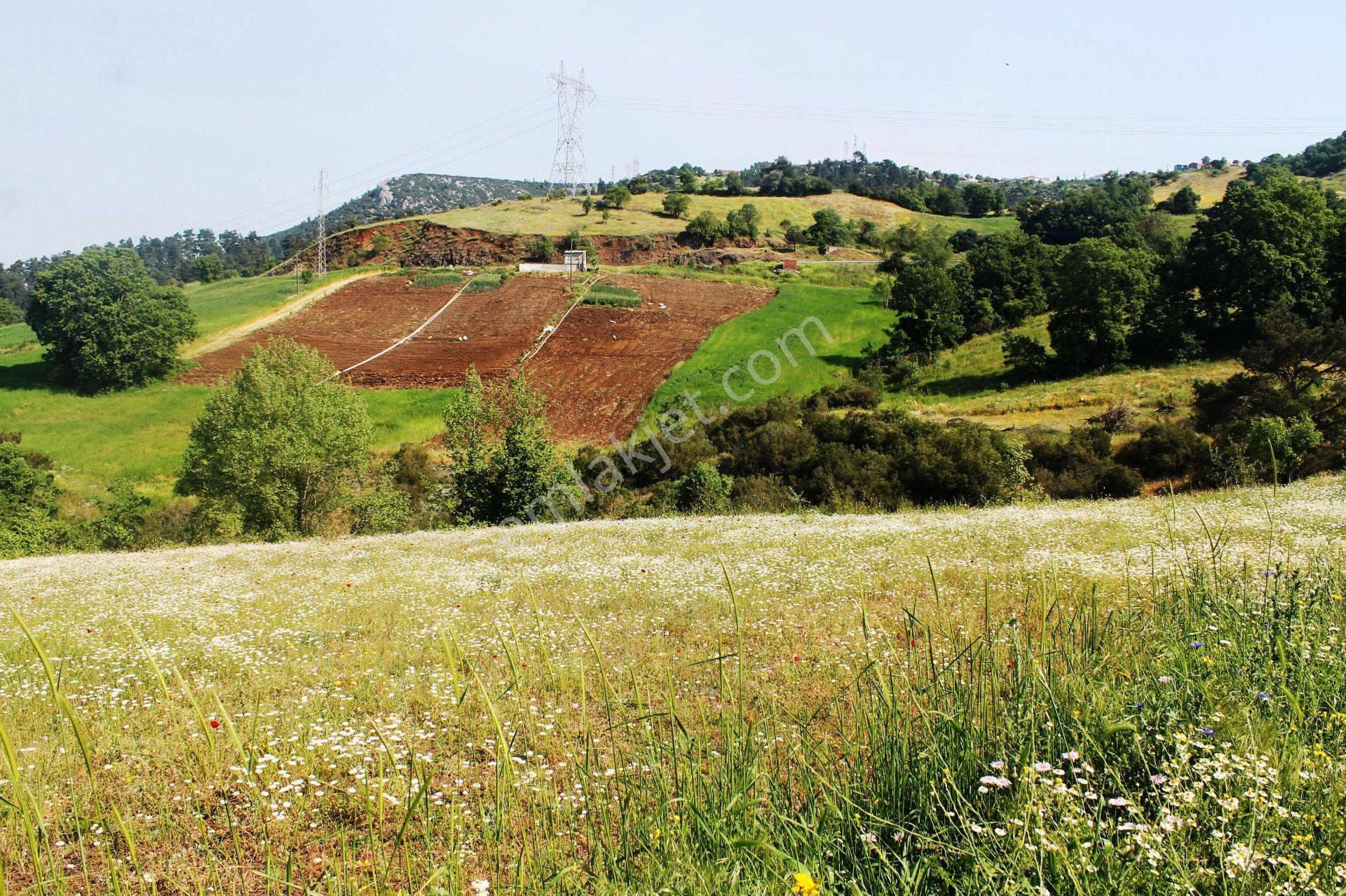 Çalköy Yenice'de 7577m2 Eşsiz Doğa Ve Göl Manzaralı Satılık Arsa - Görsel 13