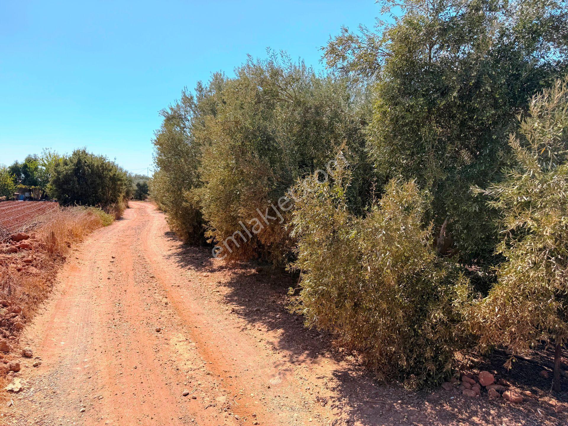 Antalya Havalimanı Yakını 318m2 İmarlı Problemsiz Satılık Arsa - Görsel 3