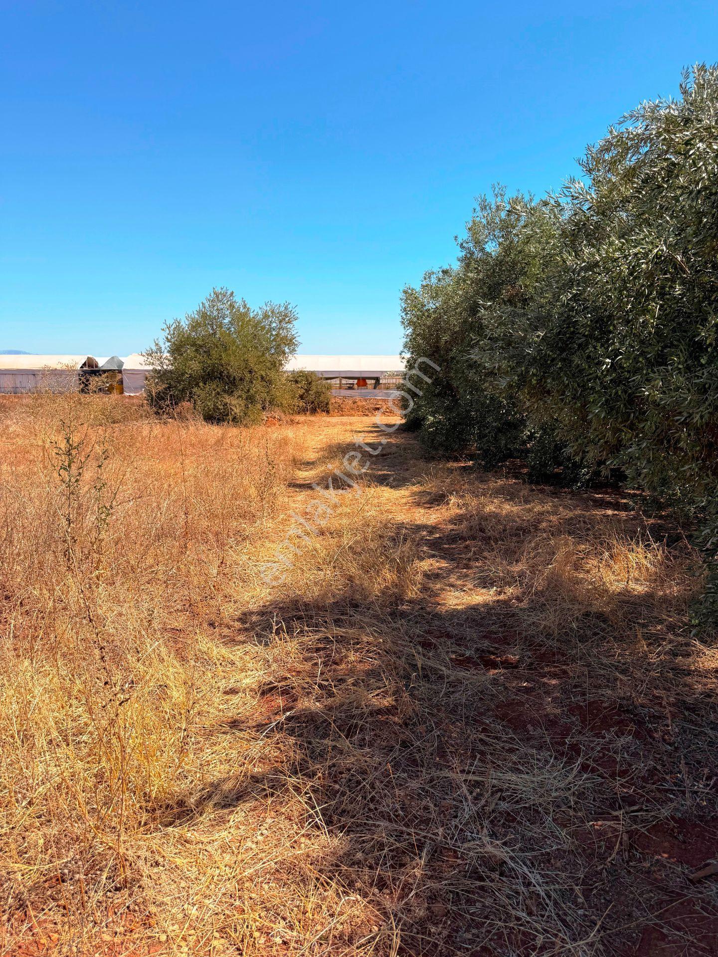 Antalya Havalimanı Yakını 318m2 İmarlı Problemsiz Satılık Arsa - Görsel 8