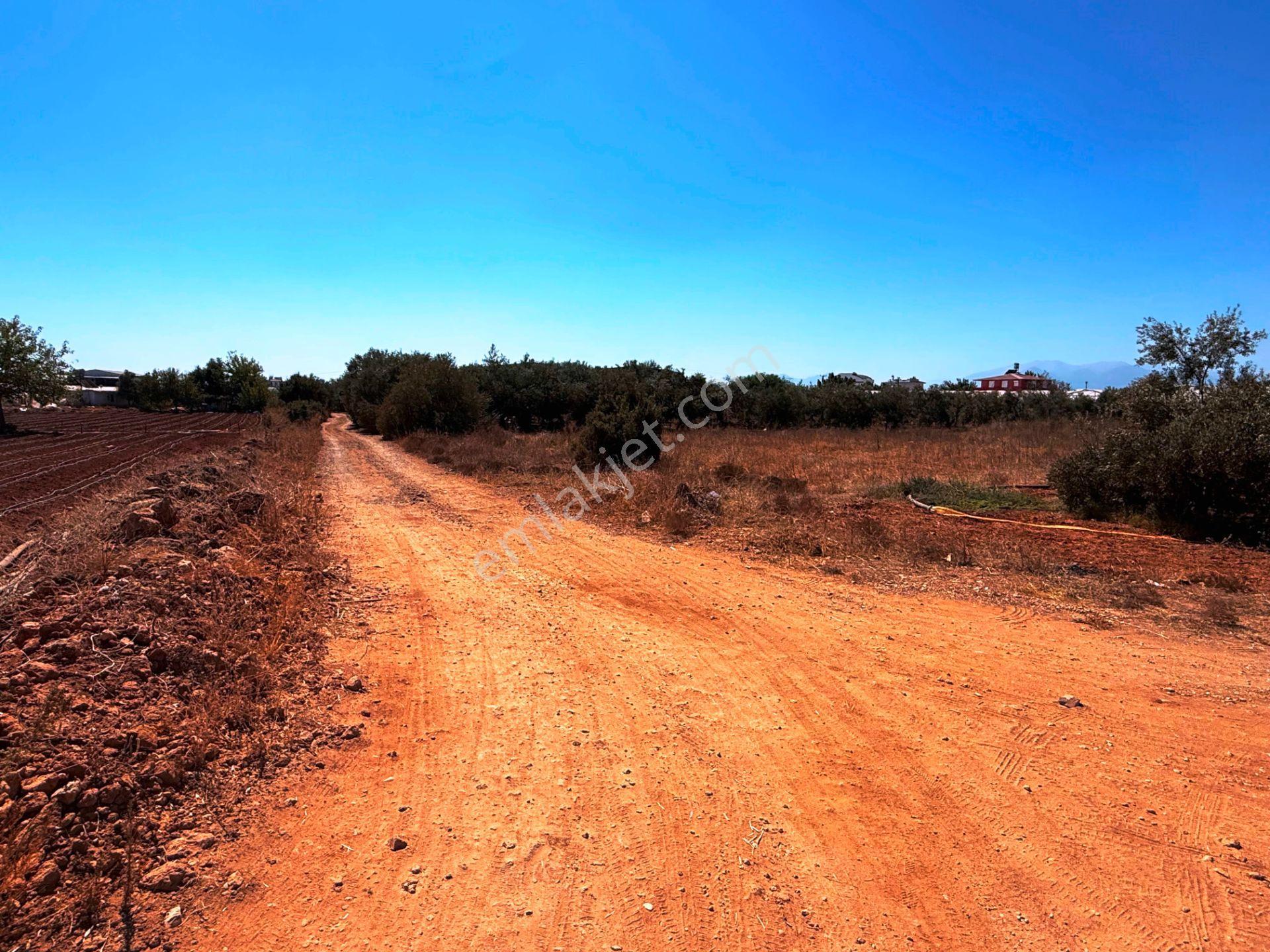 Antalya Havalimanı Yakını 318m2 İmarlı Problemsiz Satılık Arsa - Görsel 10
