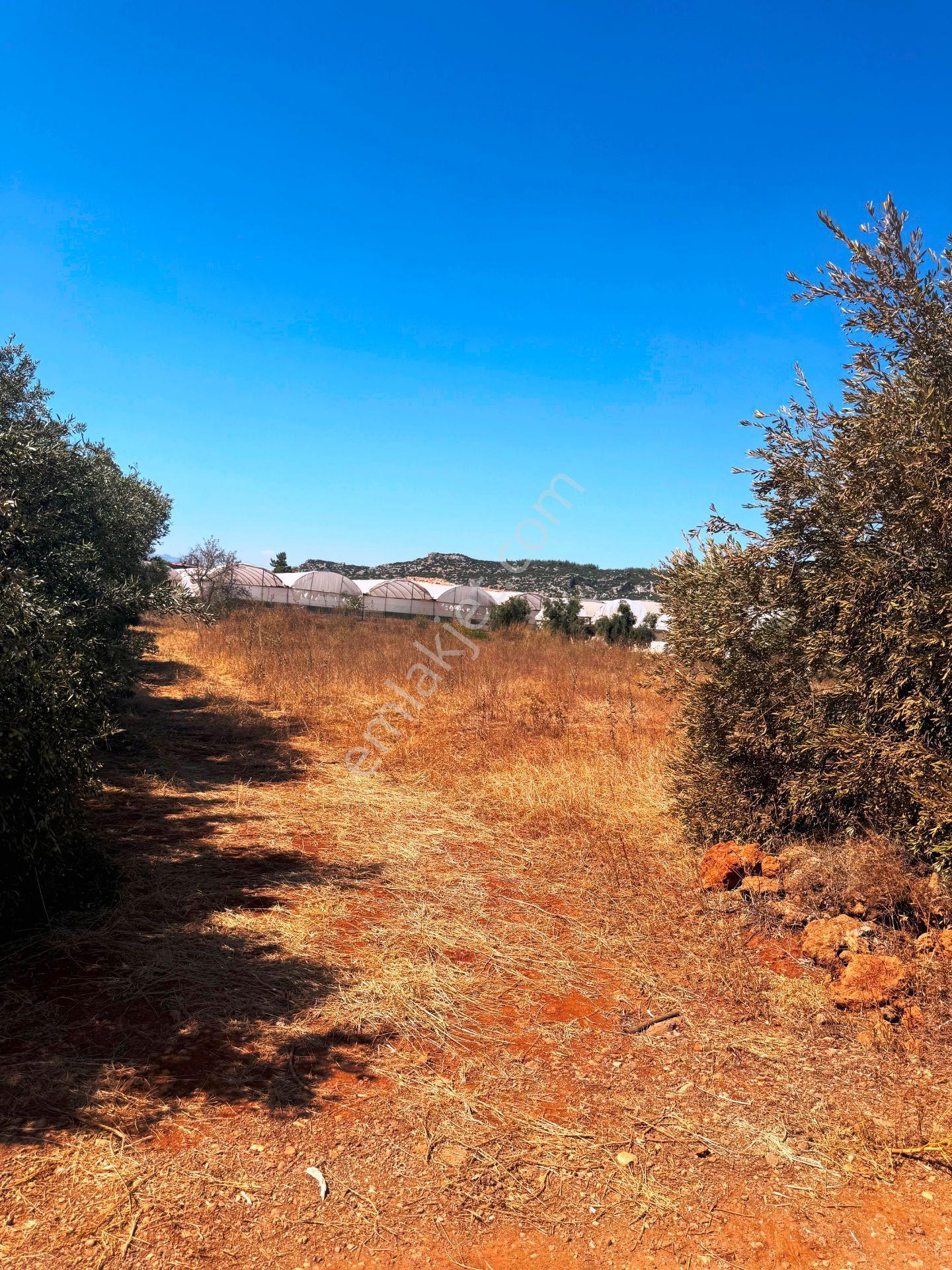 Antalya Havalimanı Yakını 318m2 İmarlı Problemsiz Satılık Arsa - Görsel 24