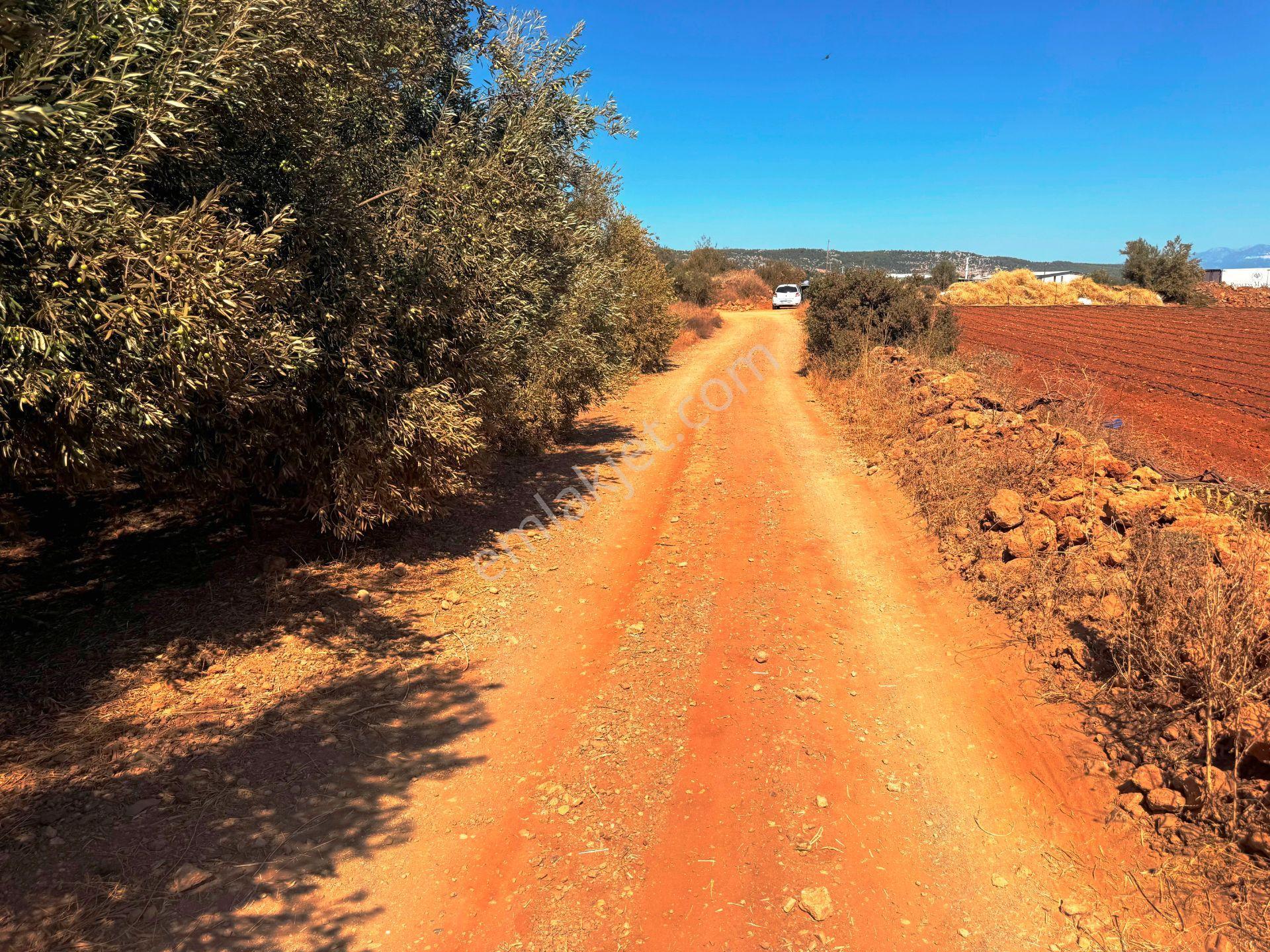 Antalya Havalimanı Yakını 318m2 İmarlı Problemsiz Satılık Arsa - Görsel 6