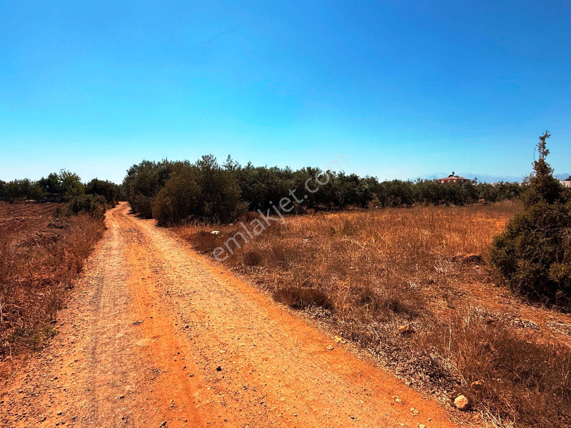 Antalya Havalimanı Yakını 318m2 İmarlı Problemsiz Satılık Arsa - Görsel 12