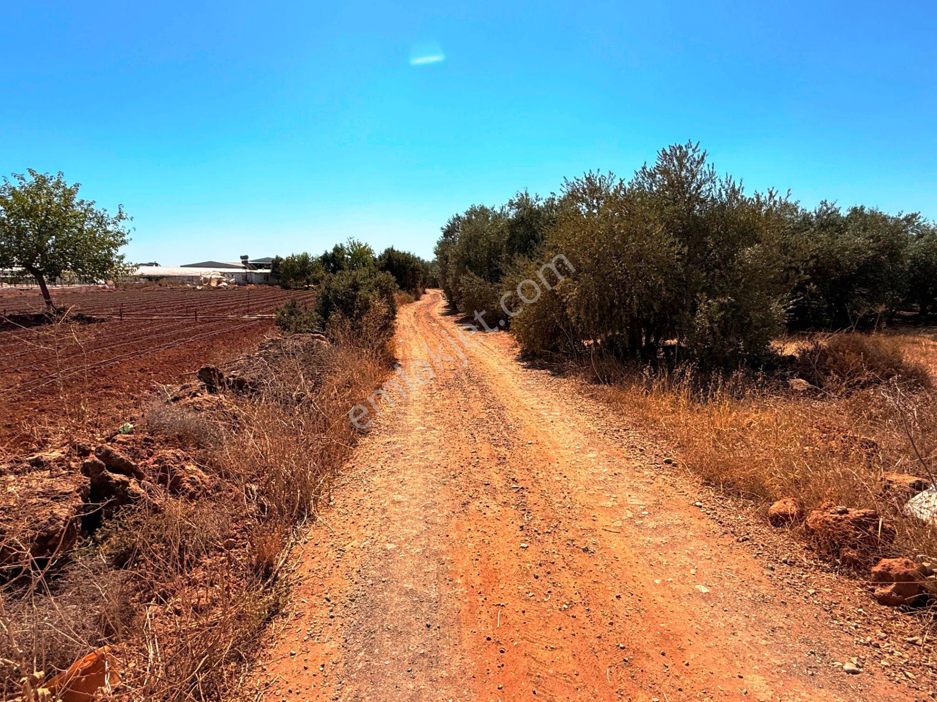 Antalya Havalimanı Yakını 318m2 İmarlı Problemsiz Satılık Arsa - Görsel 14
