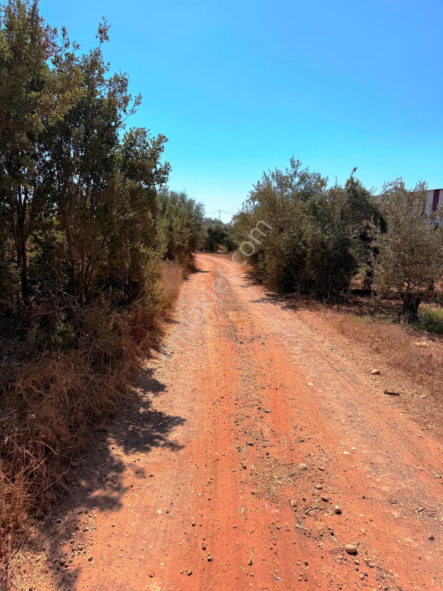 Antalya Havalimanı Yakını 318m2 İmarlı Problemsiz Satılık Arsa - Görsel 5