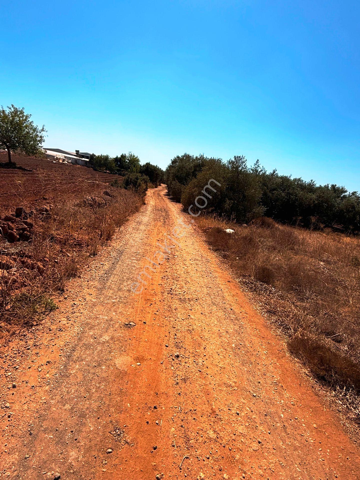 Antalya Havalimanı Yakını 318m2 İmarlı Problemsiz Satılık Arsa - Görsel 13