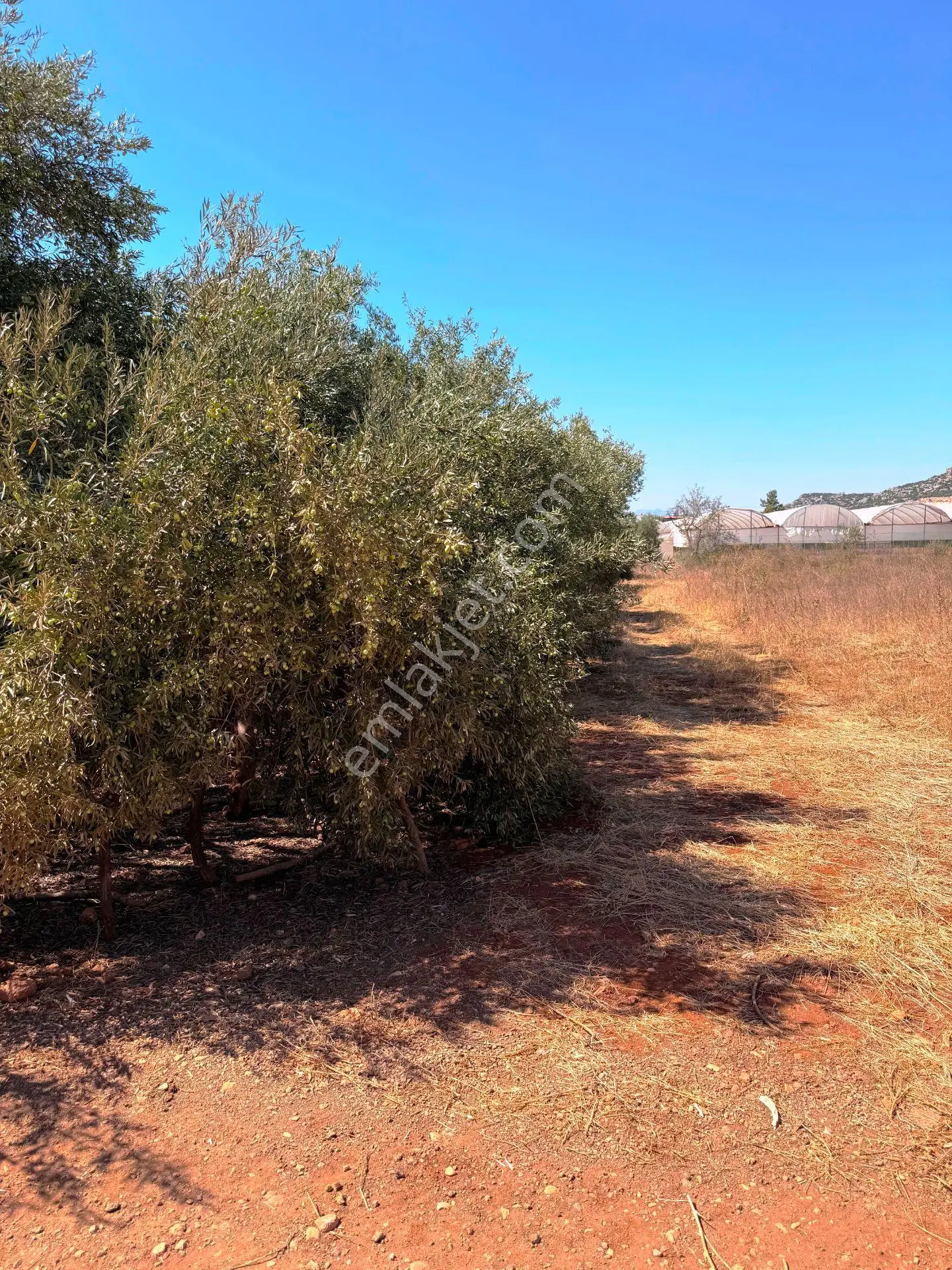 Antalya Havalimanı Yakını 318m2 İmarlı Problemsiz Satılık Arsa - Görsel 2