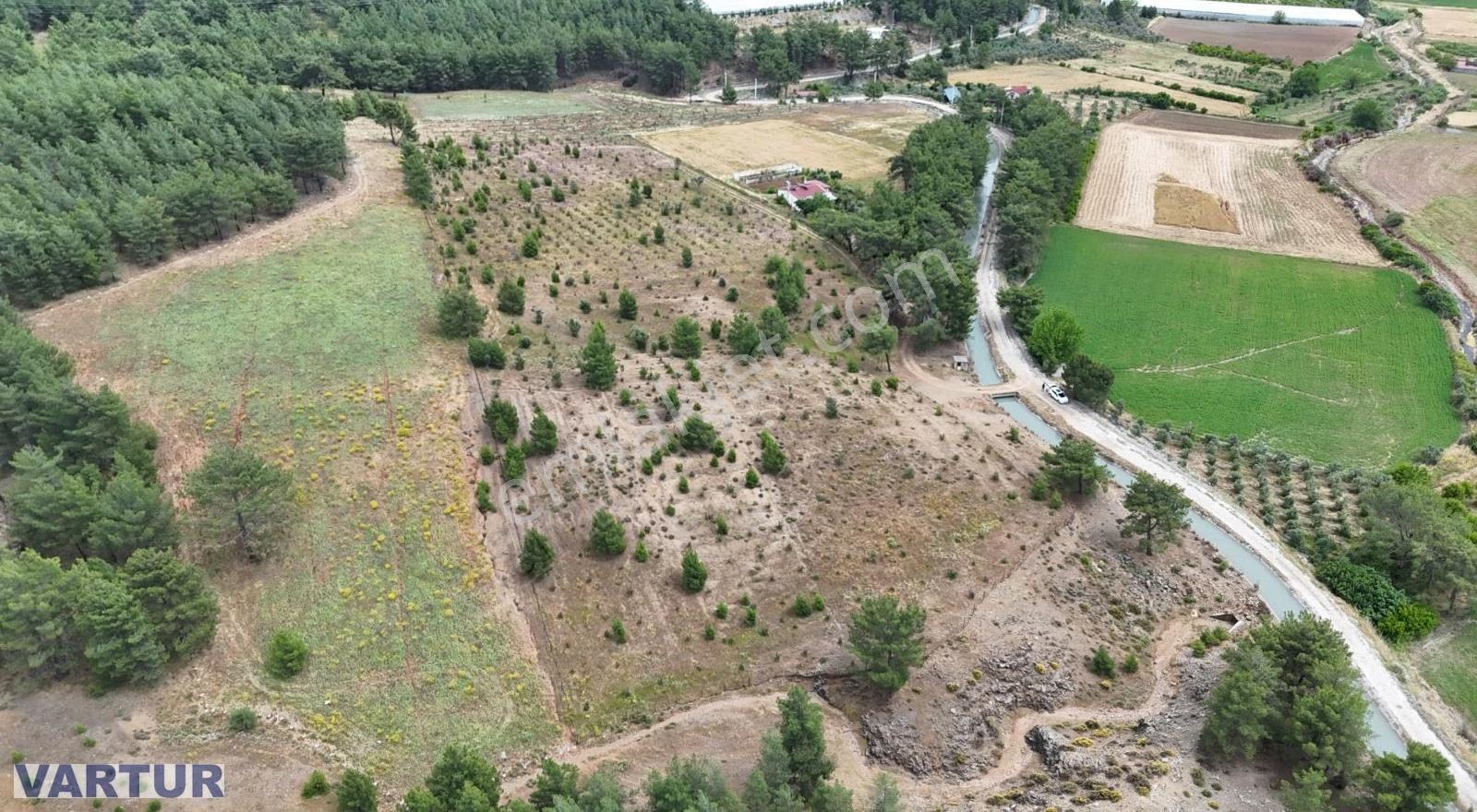 Seydikemer Çobanlarda Satılık Muhteşem Manzaraya Sahip Tarla - Görsel 12