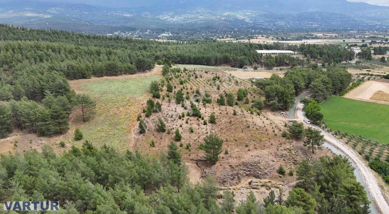 Seydikemer Çobanlarda Satılık Muhteşem Manzaraya Sahip Tarla - Görsel 8
