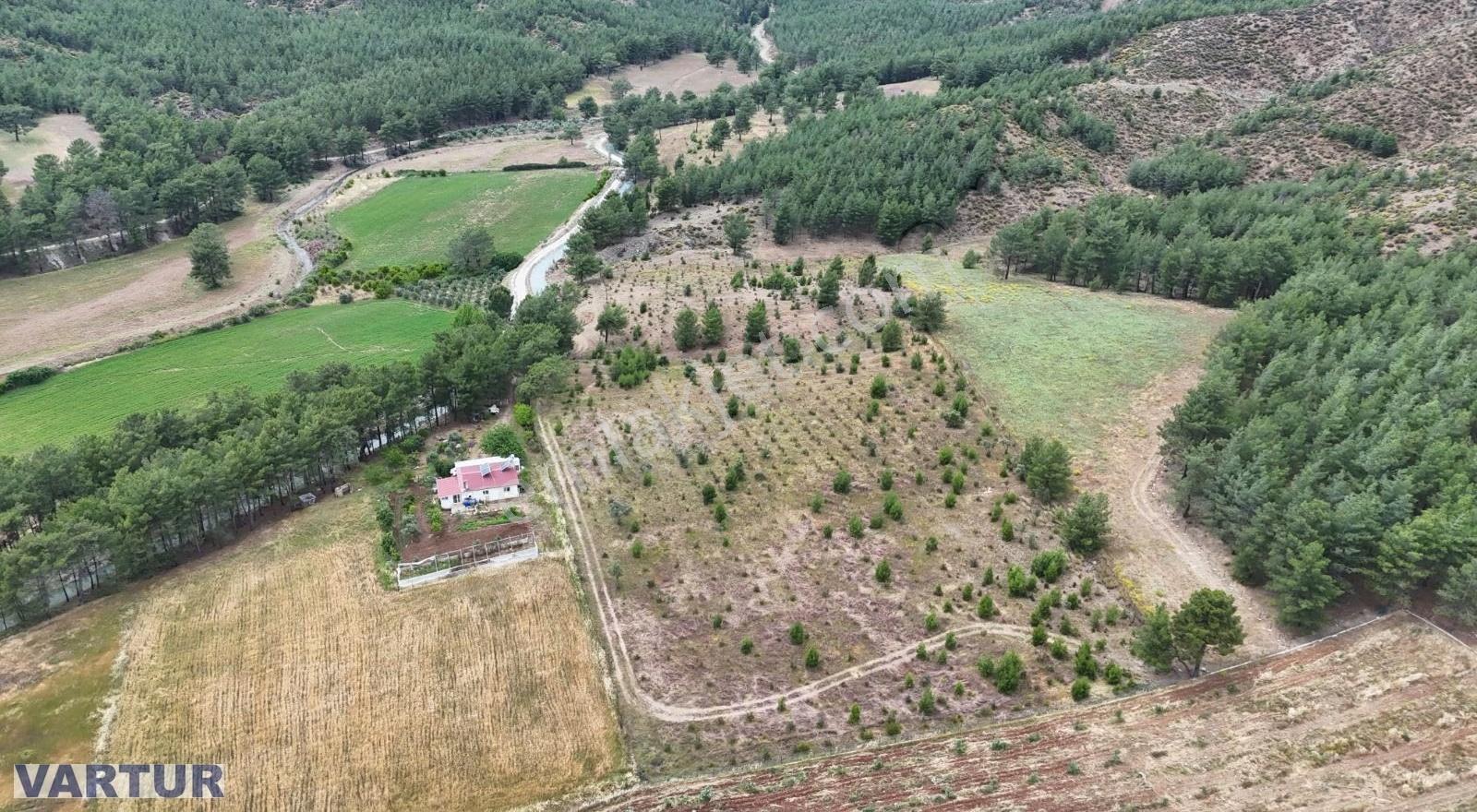 Seydikemer Çobanlarda Satılık Muhteşem Manzaraya Sahip Tarla - Görsel 13