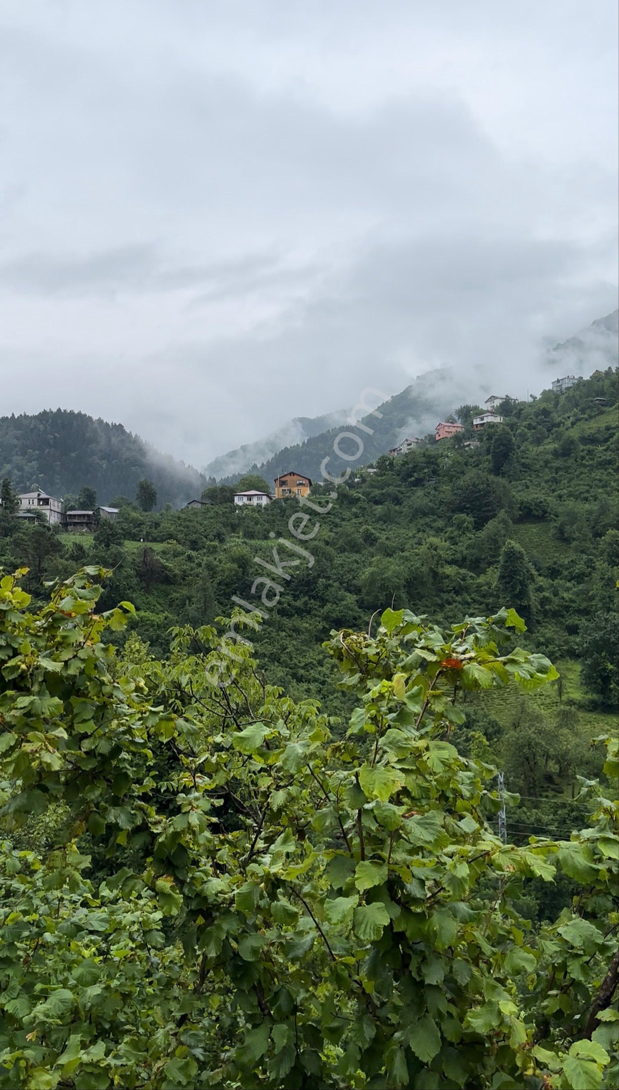 Karadeniz’in Yükselen Turizm Hattında, İki Cepheli Kaçırılmayacak Arazi - Görsel 5