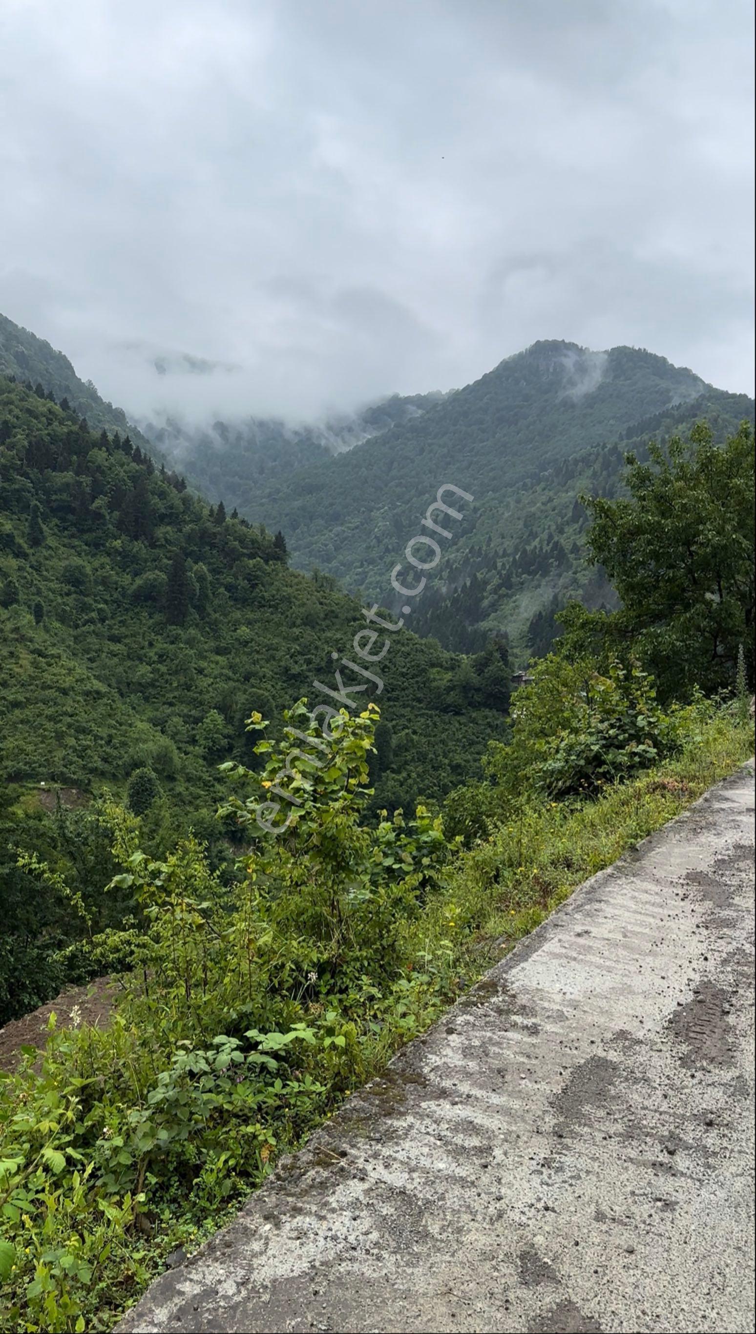 Karadeniz’in Yükselen Turizm Hattında, İki Cepheli Kaçırılmayacak Arazi - Görsel 7