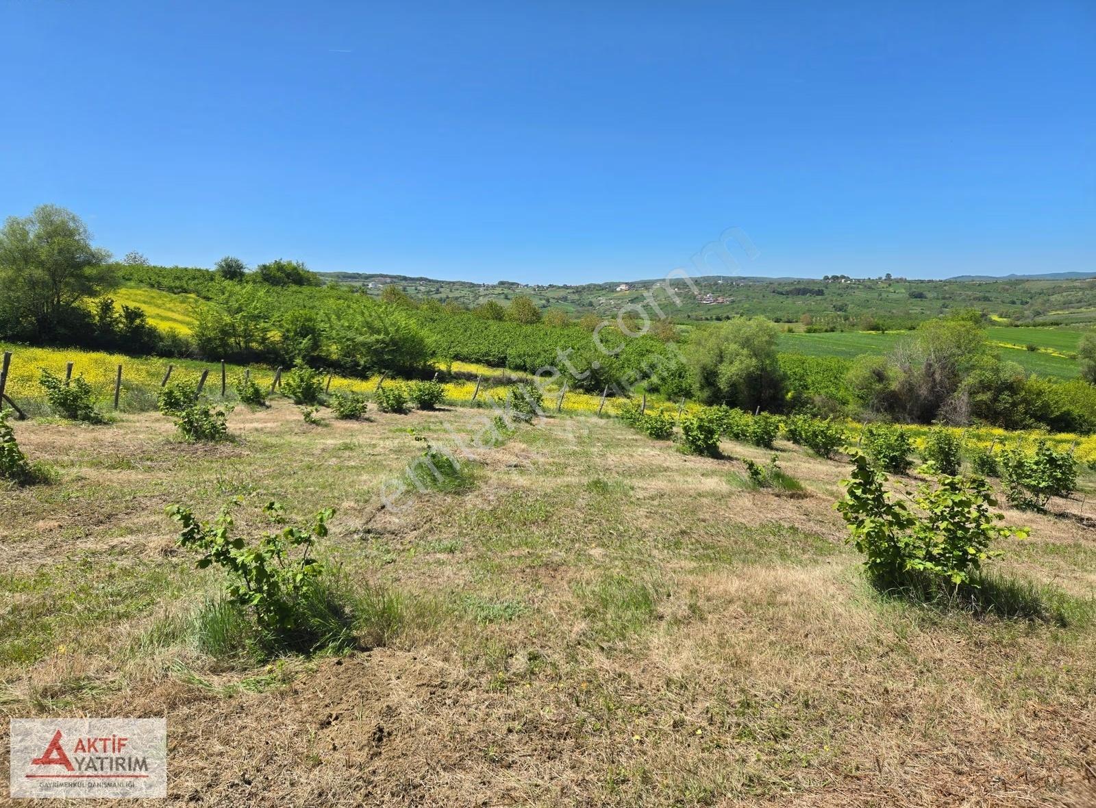 Hediyeli'de Göl Manzaralı 1748 M2 %5 İmarlı Yerleşime Yakın - Görsel 3