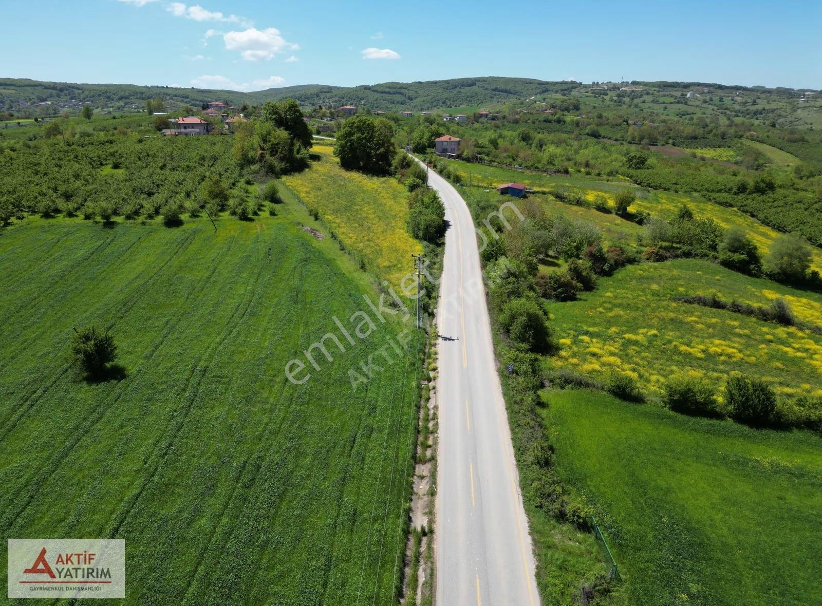 Hediyeli'de Göl Manzaralı 1748 M2 %5 İmarlı Yerleşime Yakın - Görsel 35