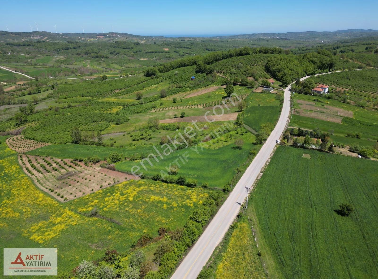 Hediyeli'de Göl Manzaralı 1748 M2 %5 İmarlı Yerleşime Yakın - Görsel 21