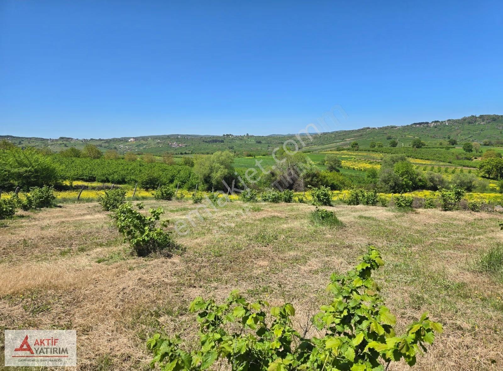 Hediyeli'de Göl Manzaralı 1748 M2 %5 İmarlı Yerleşime Yakın - Görsel 9