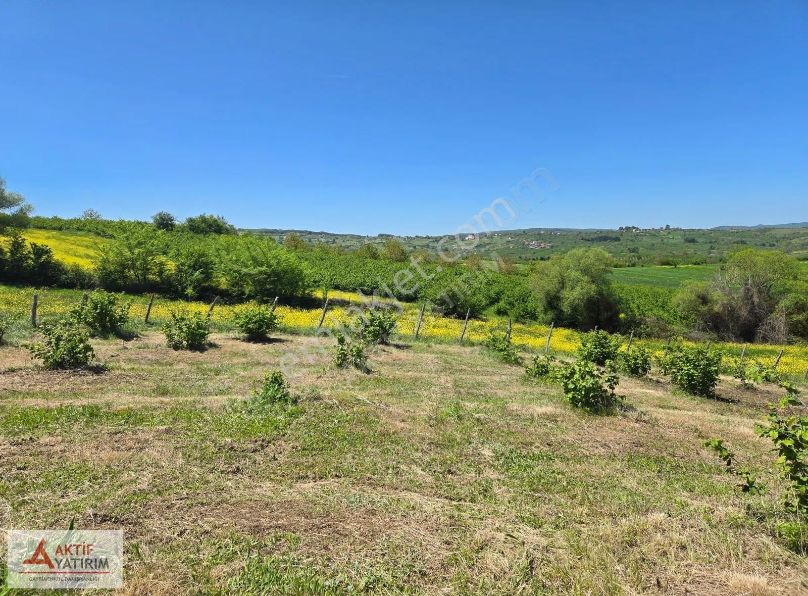 Hediyeli'de Göl Manzaralı 1748 M2 %5 İmarlı Yerleşime Yakın - Görsel 14