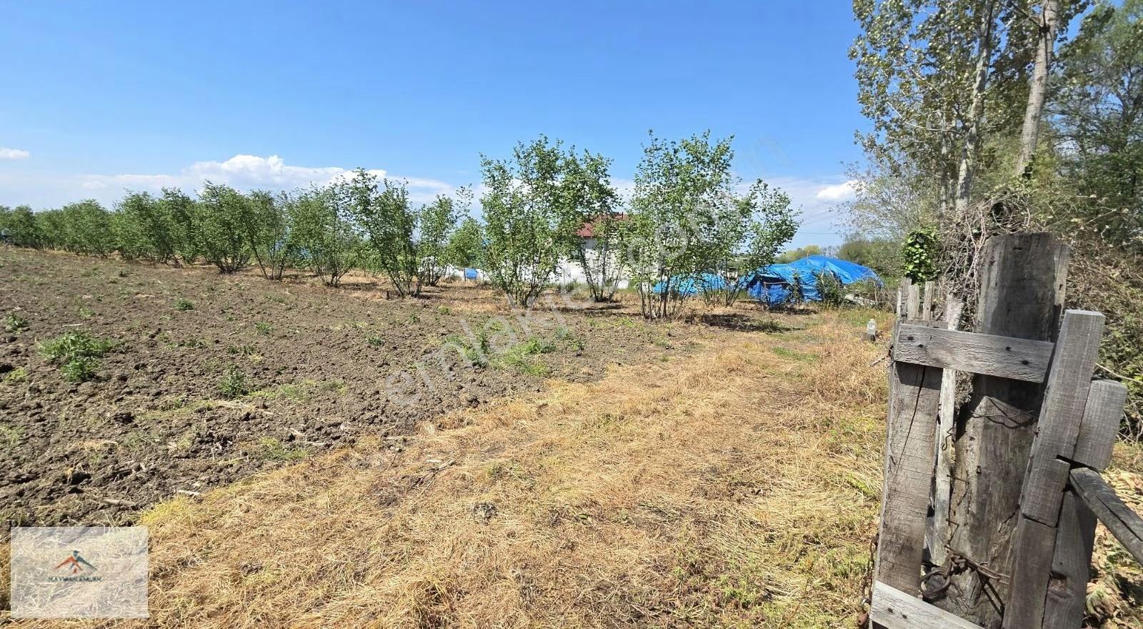 Meraya 50 M Mesafede Elektrik Su Yolu Olan Hayvancılığa Uygun - Görsel 7