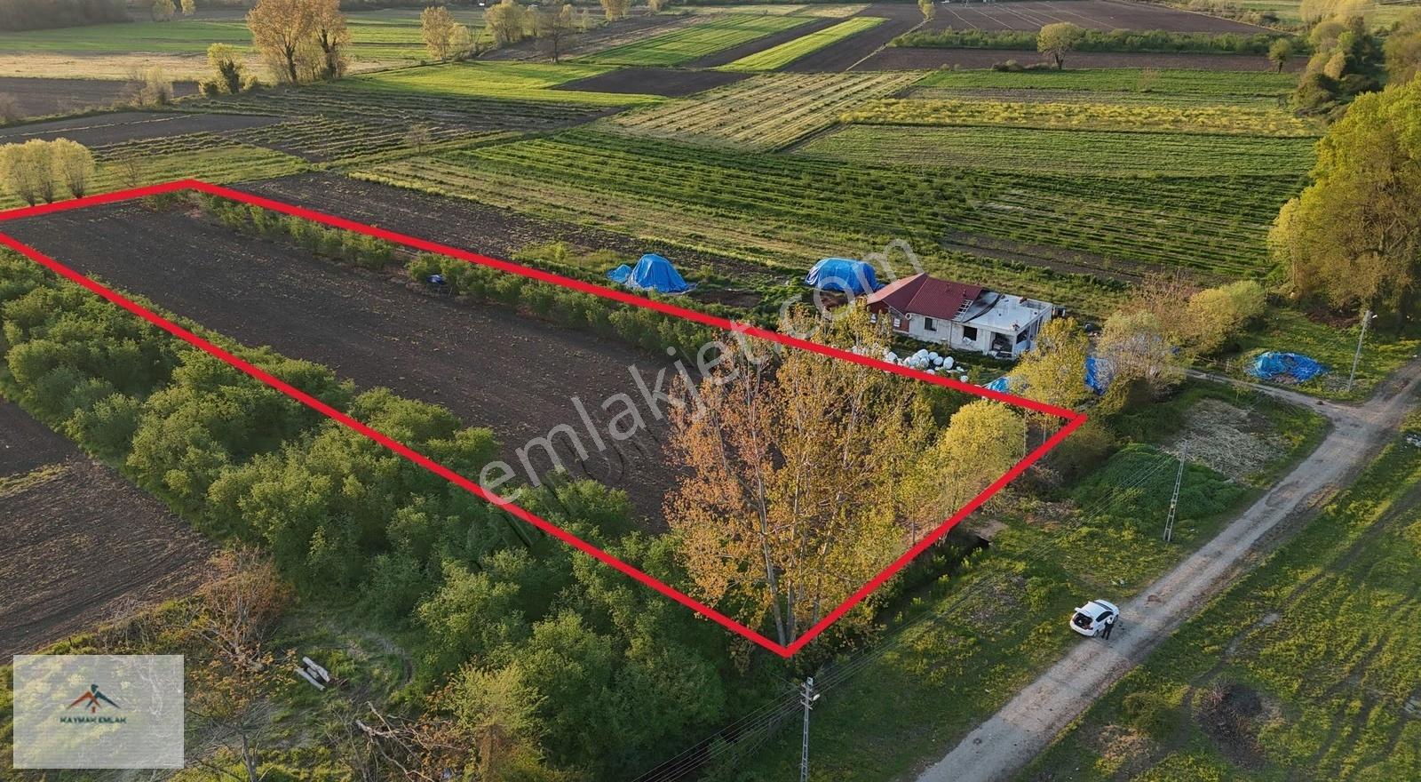 Meraya 50 M Mesafede Elektrik Su Yolu Olan Hayvancılığa Uygun - Görsel 5