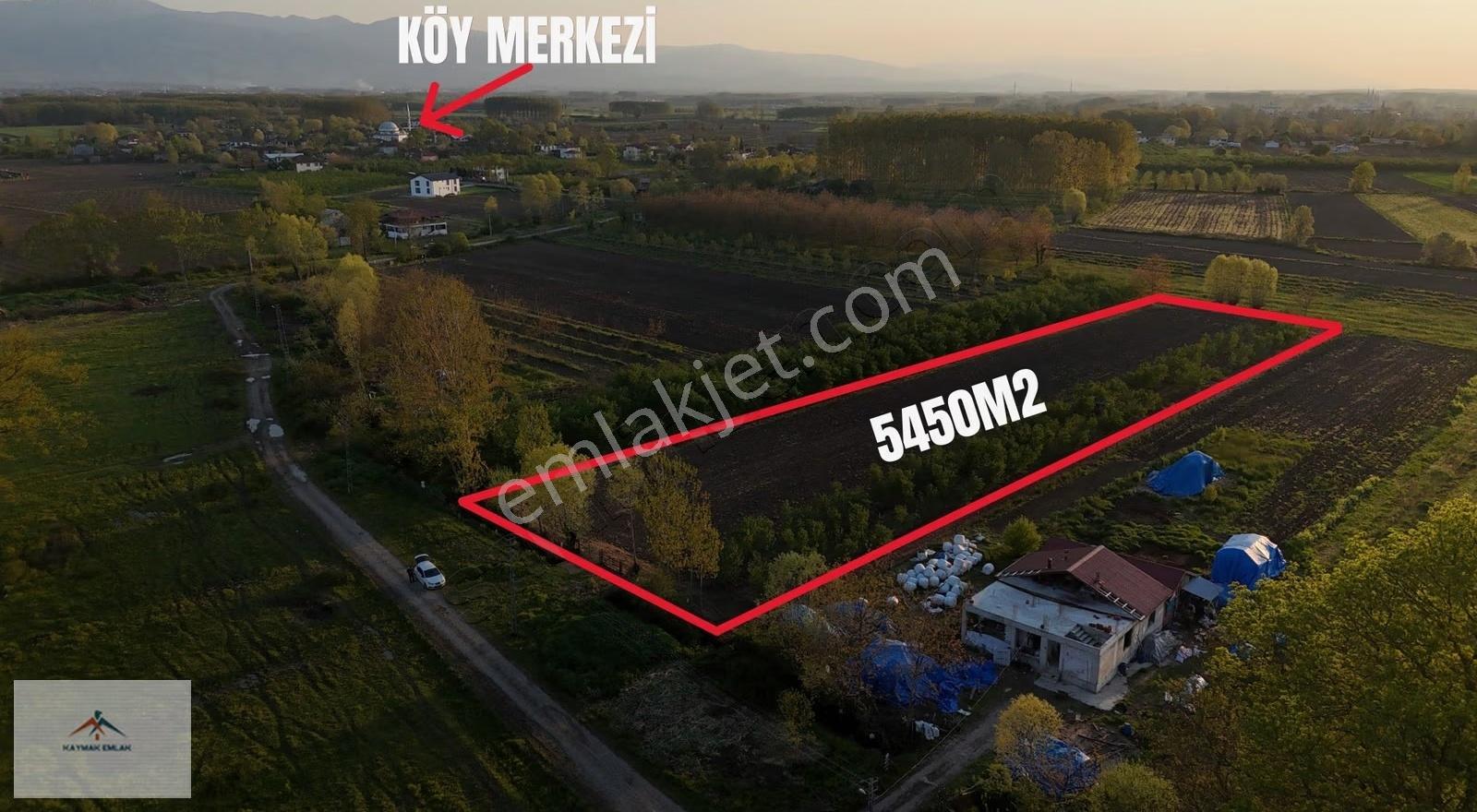Meraya 50 M Mesafede Elektrik Su Yolu Olan Hayvancılığa Uygun - Görsel 11