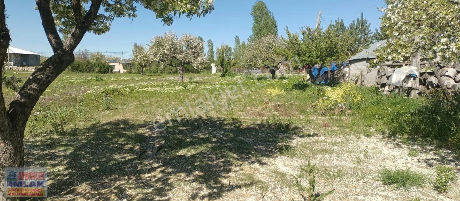 Aydıncık Emlaktan Satılık Elma Bahçesi - Görsel 8