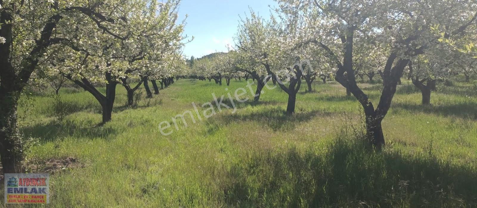 Aydıncık Emlaktan Satılık Elma Bahçesi - Görsel 15