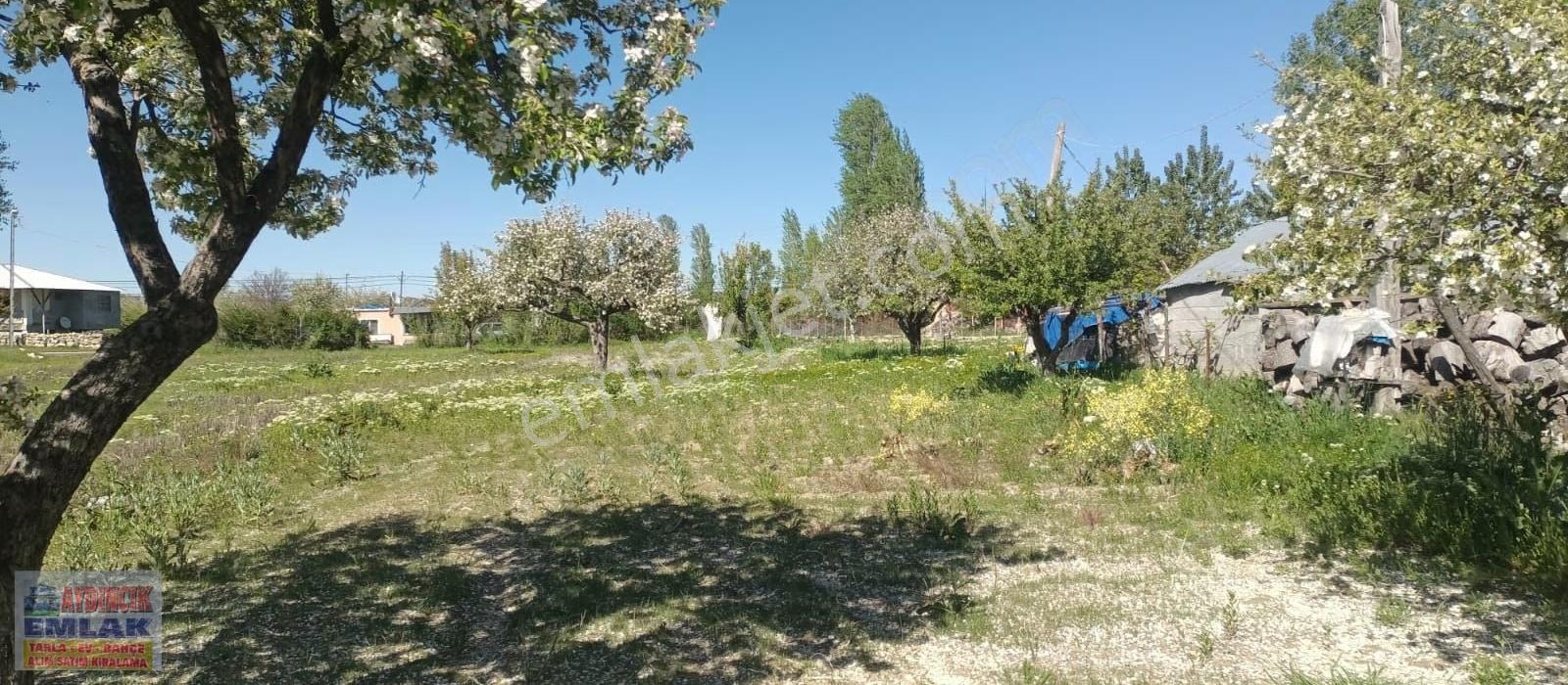 Aydıncık Emlaktan Satılık Elma Bahçesi - Görsel 3